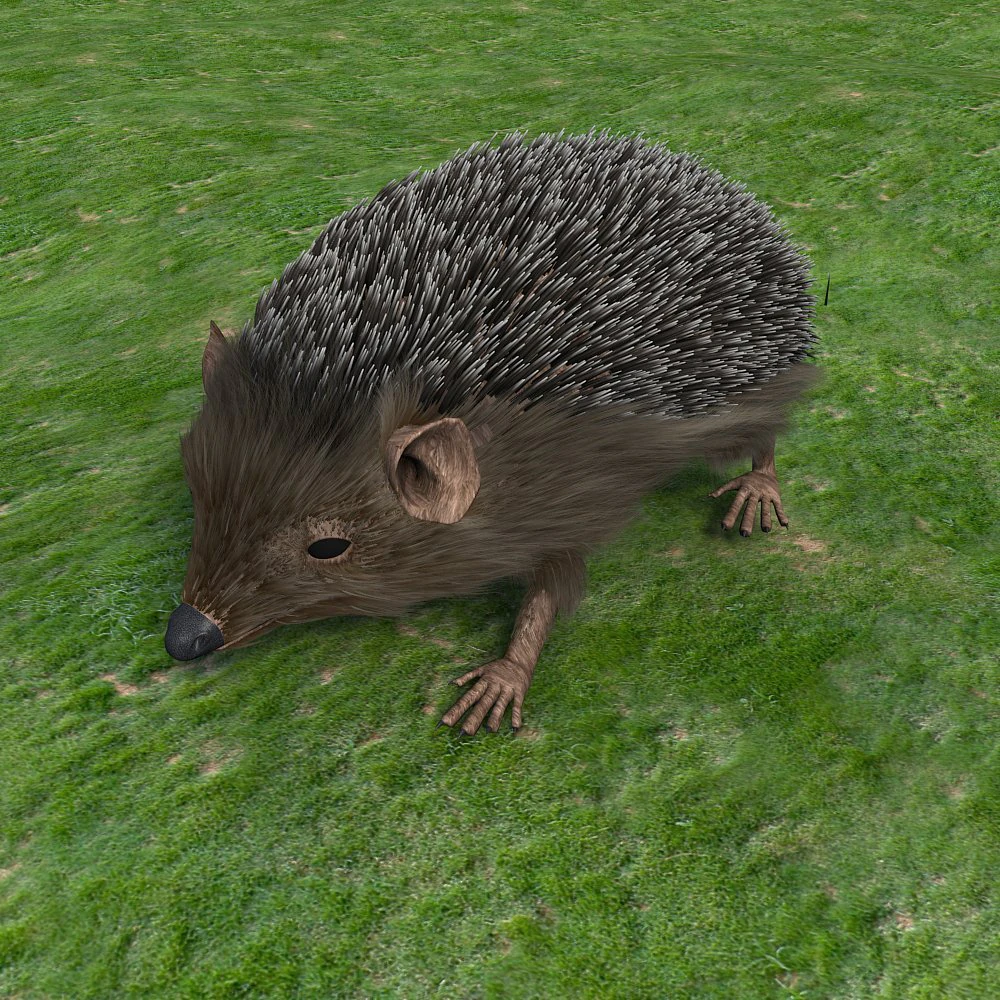 hedgehog 3D Model .c4d .max .obj .3ds .fbx .stl .blend 
