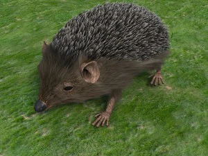 hedgehog 3D Model