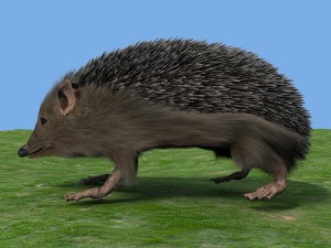hedgehog 3Dモデル