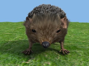hedgehog 3Dモデル