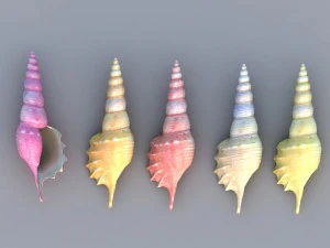 H&uuml;lse 3D Modell