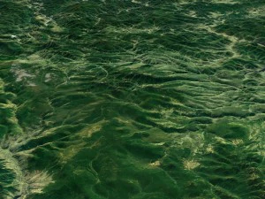 korean peninsula satellite map 3D Model
