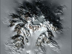 snow m b 020515 3D-Modell