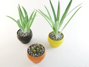 grass in pots 3D Model