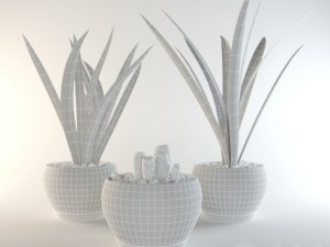 grass in pots 3D Модель