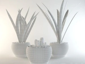 grass in pots 3D Model