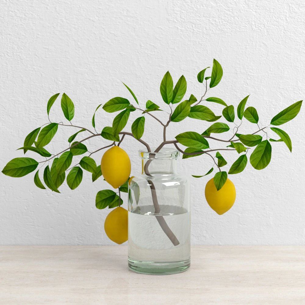 lemons on branch 3D Model .c4d .max .obj .3ds .fbx .stl .blend 