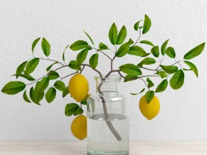 limoni sul ramo Modello 3D