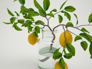 lemons on branch 3D Model