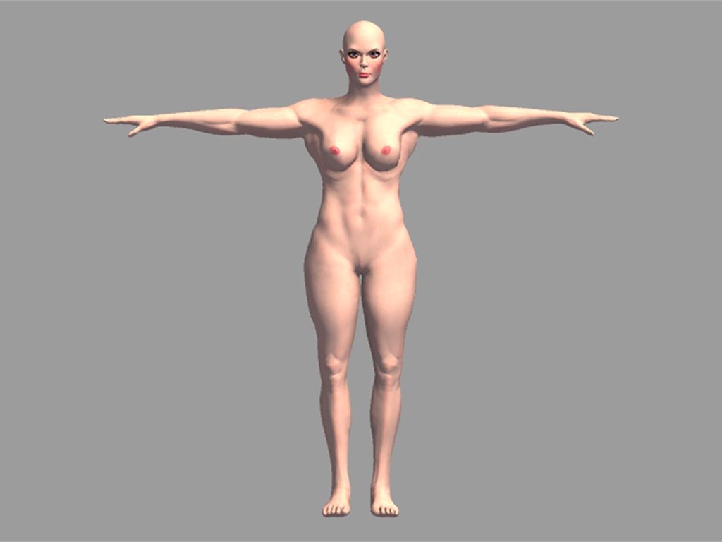 Nude Muscular Female 3d Model In Woman 3dexport
