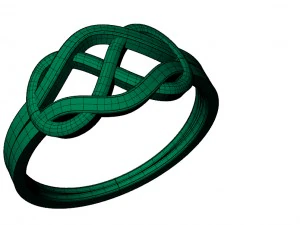 beautiful ring01 3D Print Model