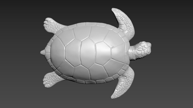Turtle Model 3D .c4d .max .obj .3ds .fbx .stl .blend 
