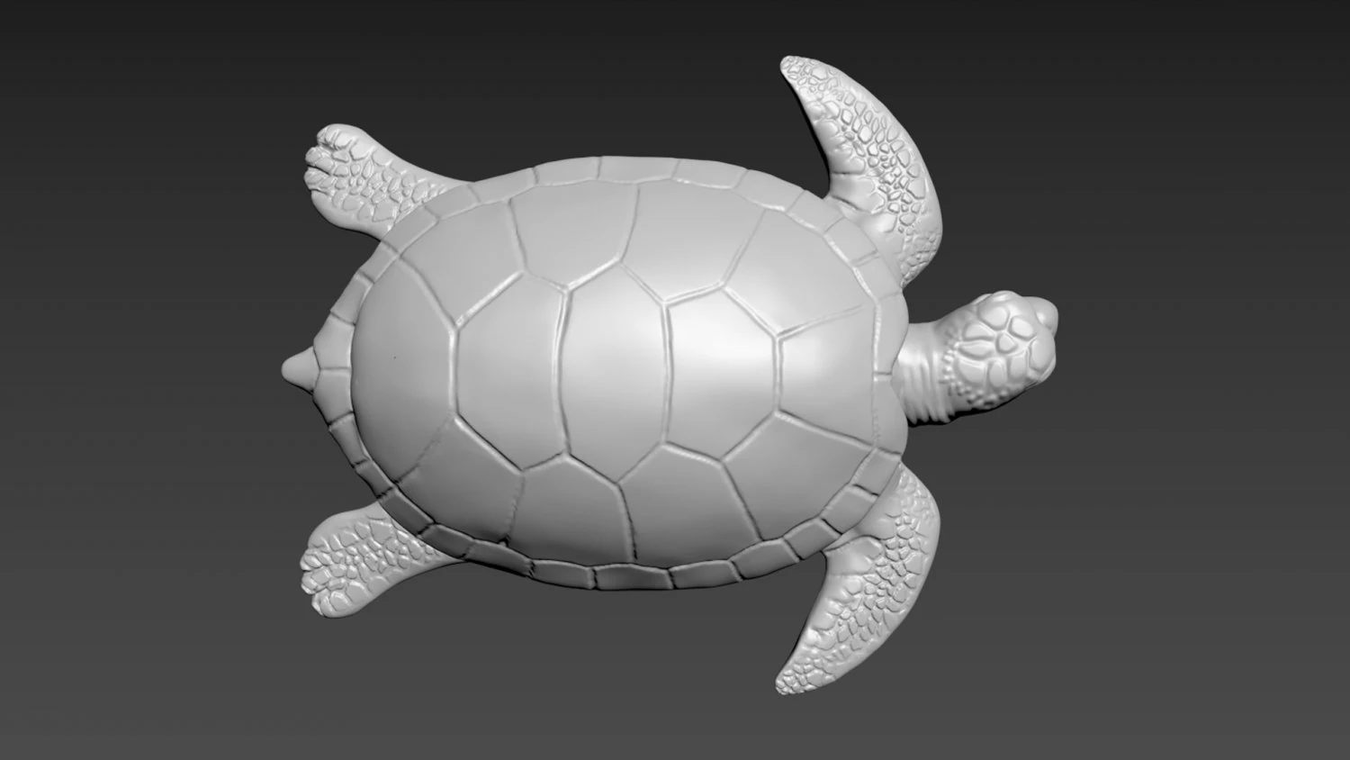 Ż&oacute;łw Model 3D .c4d .max .obj .3ds .fbx .stl .blend 