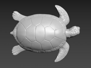 Turtle 3D 模型