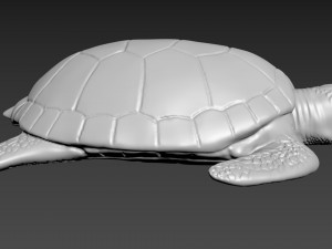Turtle Model 3D