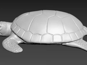 Ż&oacute;łw Model 3D