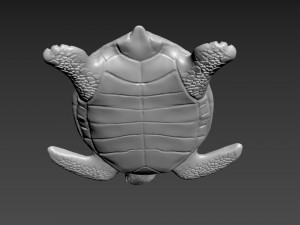 Turtle Model 3D