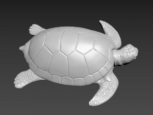 Turtle Model 3D