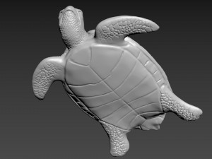 Turtle Model 3D