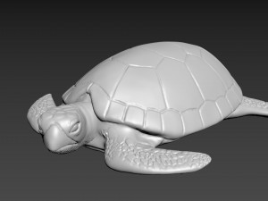 Turtle Model 3D