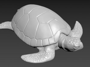 Turtle Model 3D