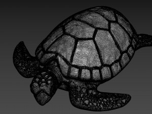 Turtle Model 3D