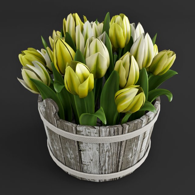 yellow tulips Modèle 3D .c4d .max .obj .3ds .fbx .stl .blend 