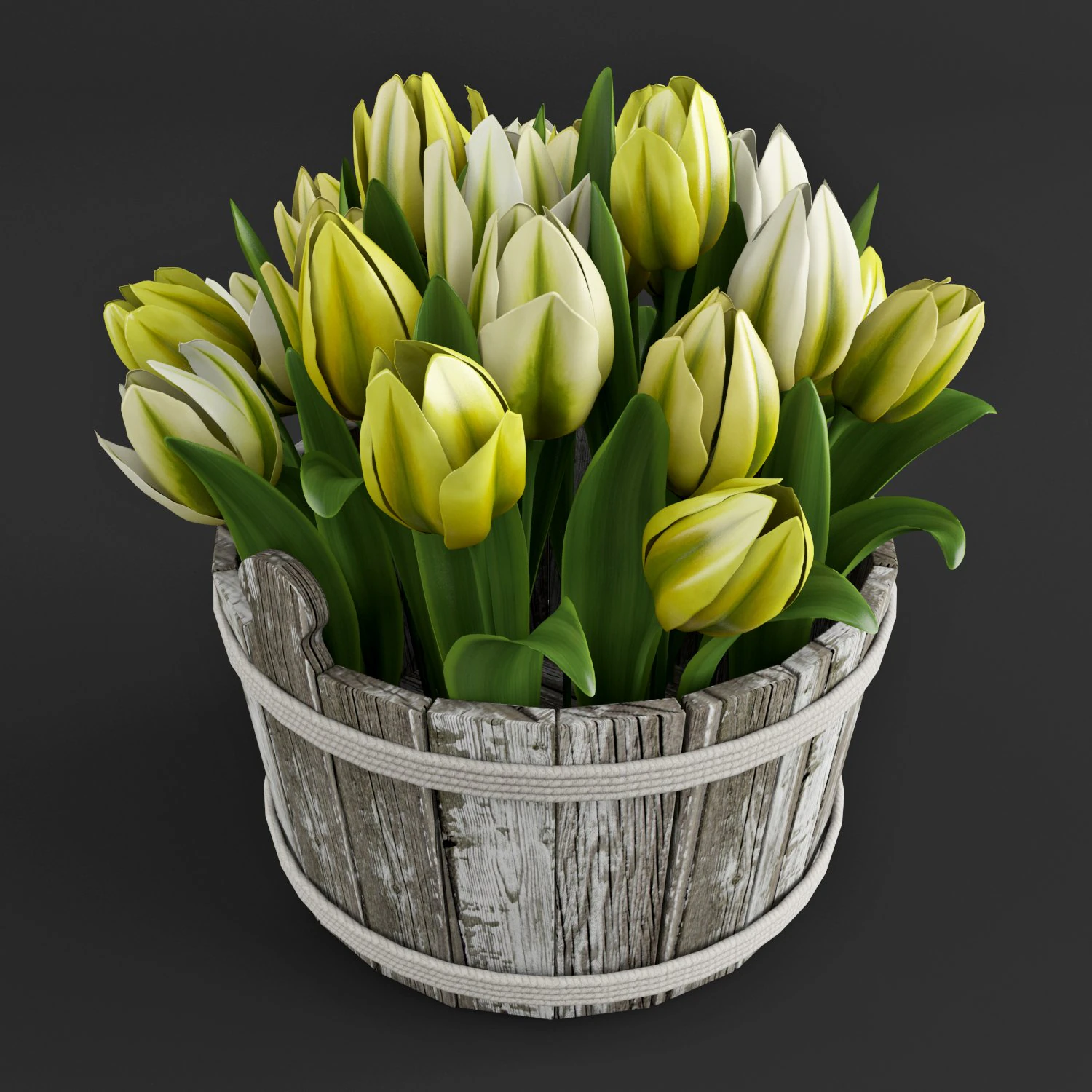 yellow tulips 3D Model .c4d .max .obj .3ds .fbx .stl .blend 