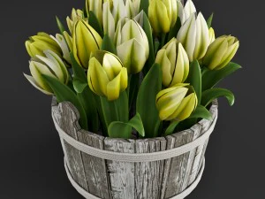 tulipas amarelas Modelo 3D