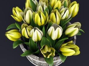 yellow tulips Modèle 3D