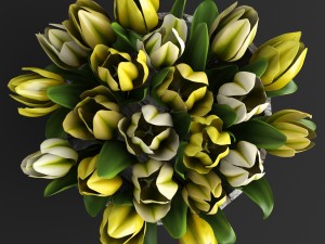 yellow tulips Modèle 3D