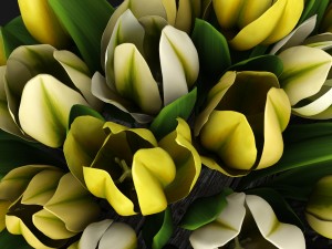 yellow tulips Modèle 3D