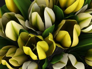 yellow tulips 3D Model