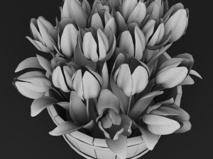 yellow tulips Modèle 3D