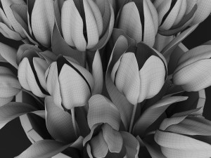yellow tulips Modèle 3D