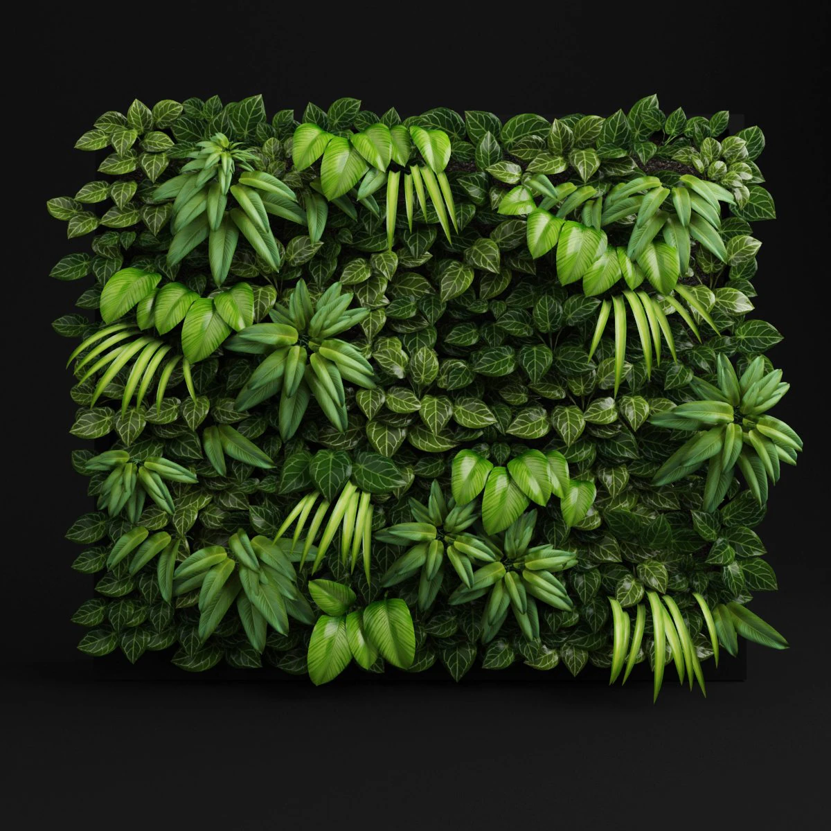 green wall module 3D Model .c4d .max .obj .3ds .fbx .stl .blend 