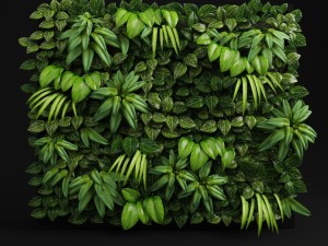 green wall module Modelo 3D
