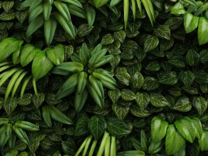 green wall module 3D Model