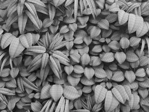 green wall module 3D Model