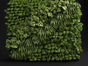 green wall 3D Model