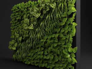 green wall 3D Модель
