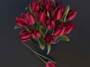 red tulips Model 3D