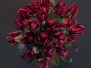 red tulips Model 3D