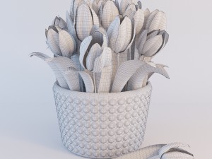 red tulips Model 3D