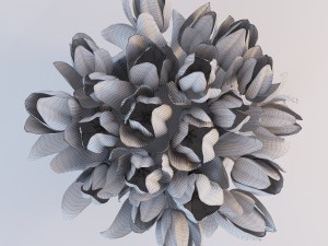 red tulips Model 3D