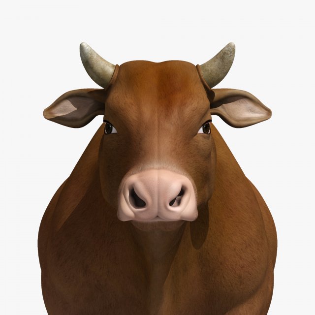 Cattle bull cow buffalo Modelo 3D .c4d .max .obj .3ds .fbx .stl .blend 