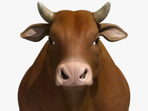Cattle bull cow buffalo 3D Model