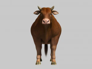 Cattle bull cow buffalo 3D Model