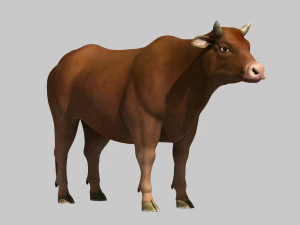 Cattle bull cow buffalo 3D Model