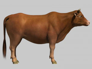 Cattle bull cow buffalo 3D Model